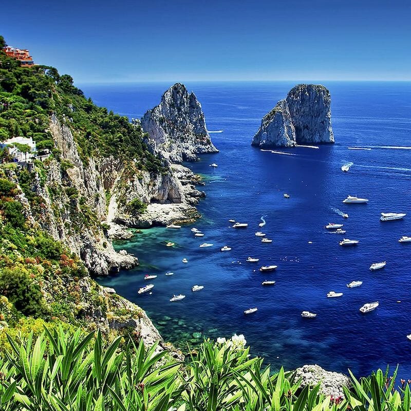Cove Capri Fragrance