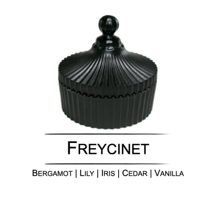Freycinet Fragrance | Carousel Candle