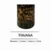 Cove Grande Cheetah Candle | Havana Fragrance