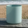 Cove Reef Sea Candles Surf