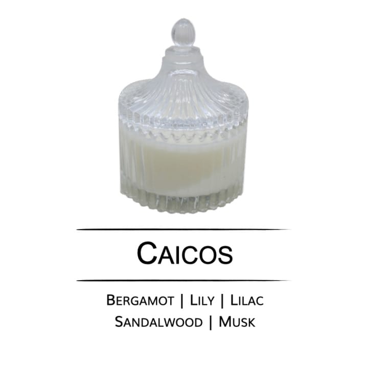 Caicos Fragrance | Petite Carousel Candle